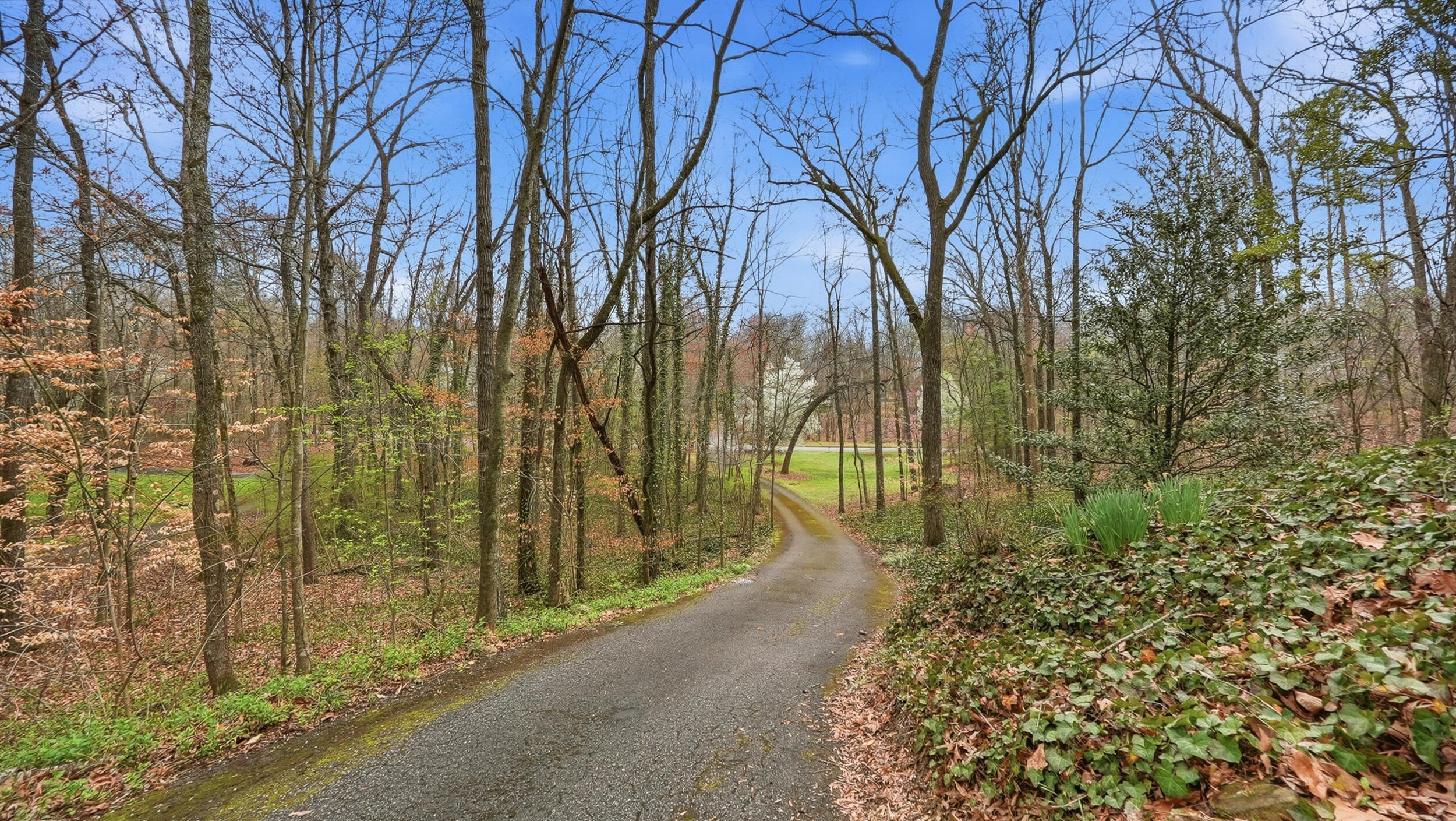 8843 Finney Point Drive