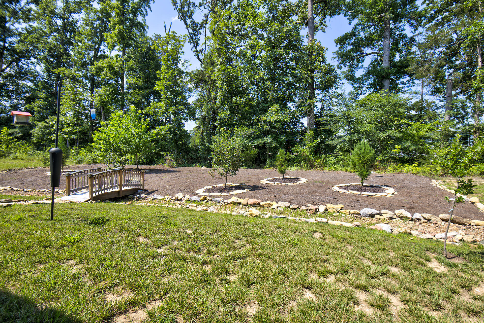 1502 Buttonwood Loop