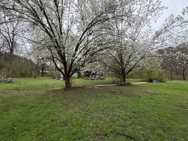 7405 Harper Road