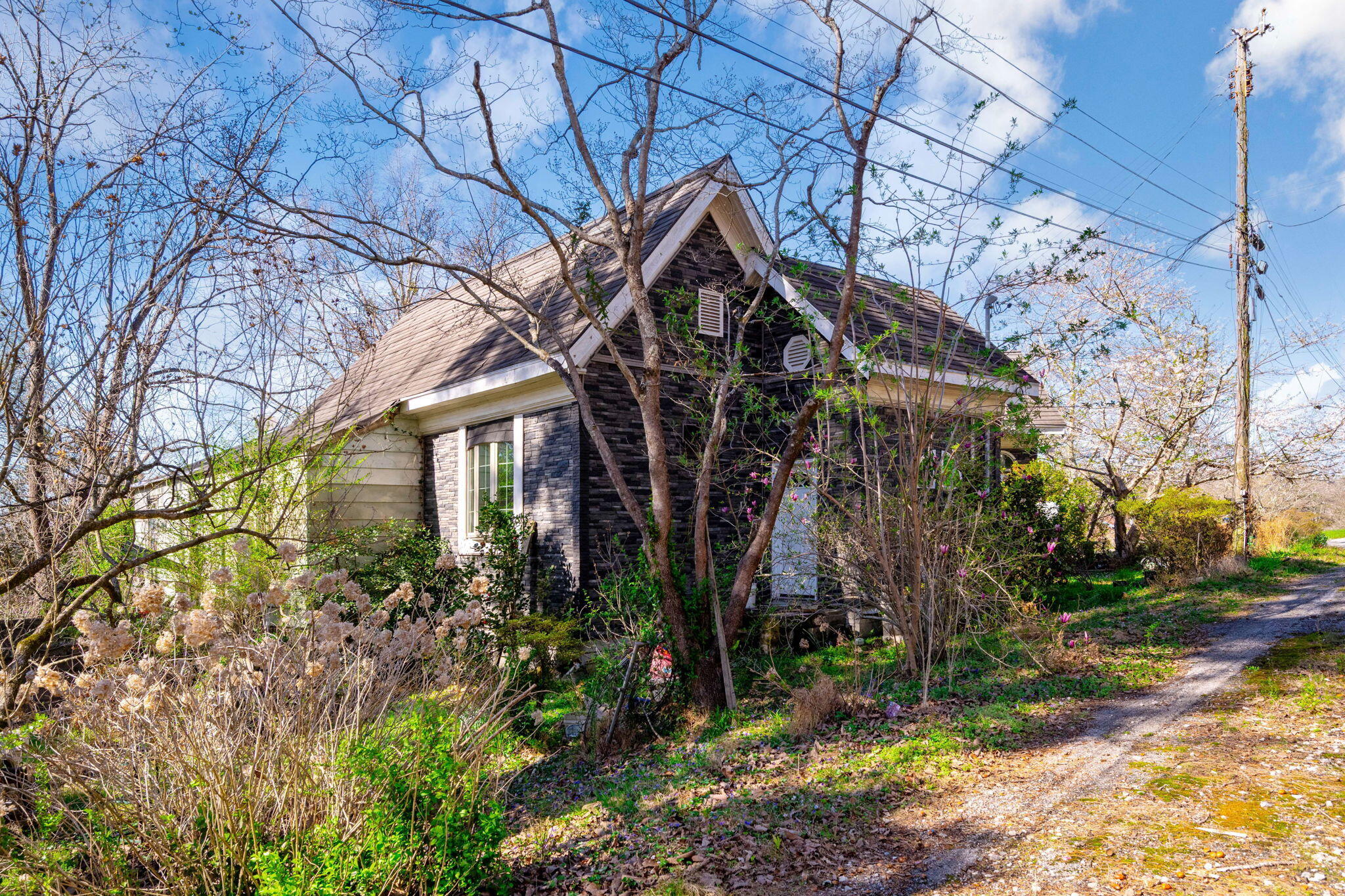 1303 Springview Drive