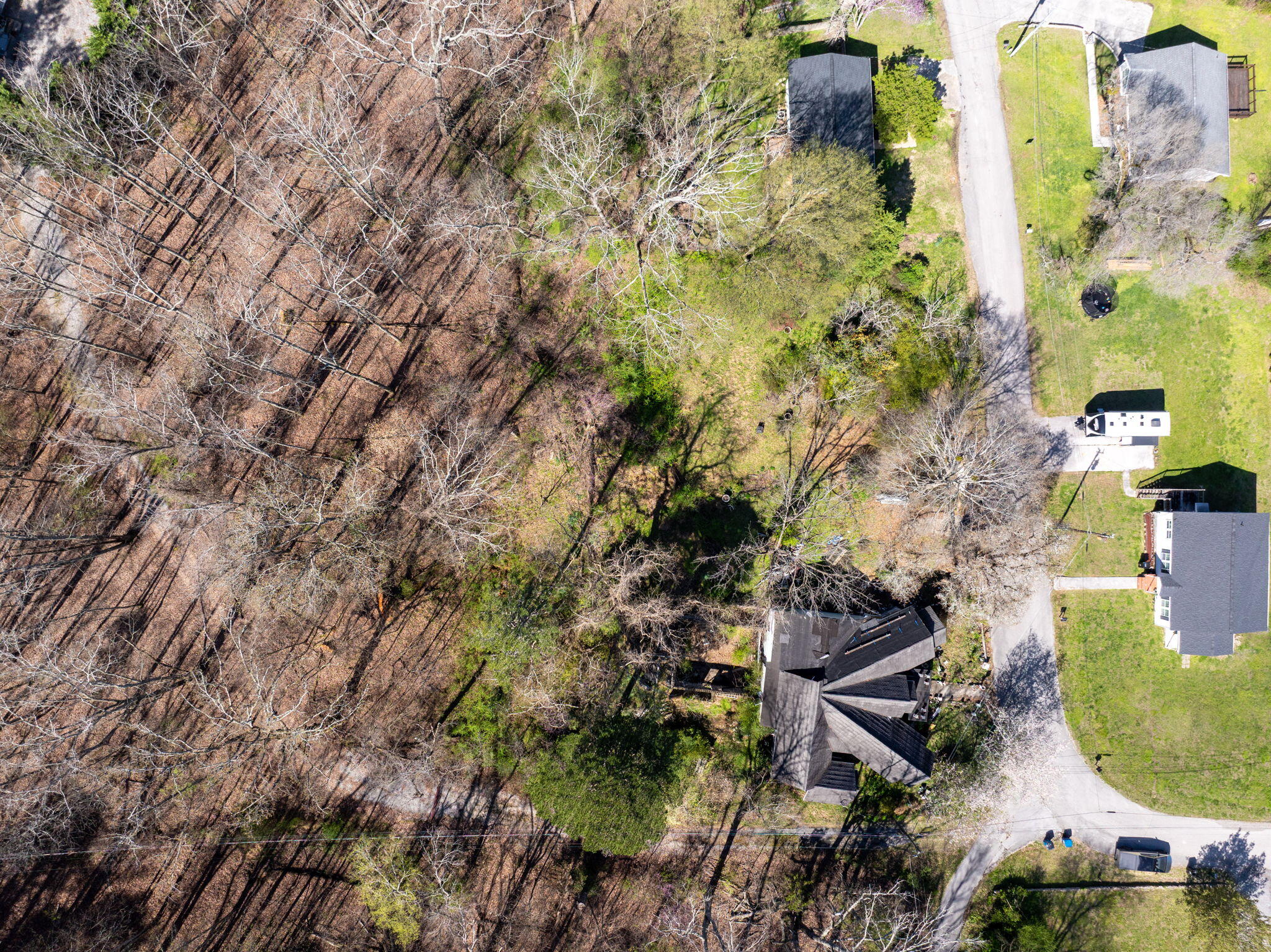 1303 Springview Drive