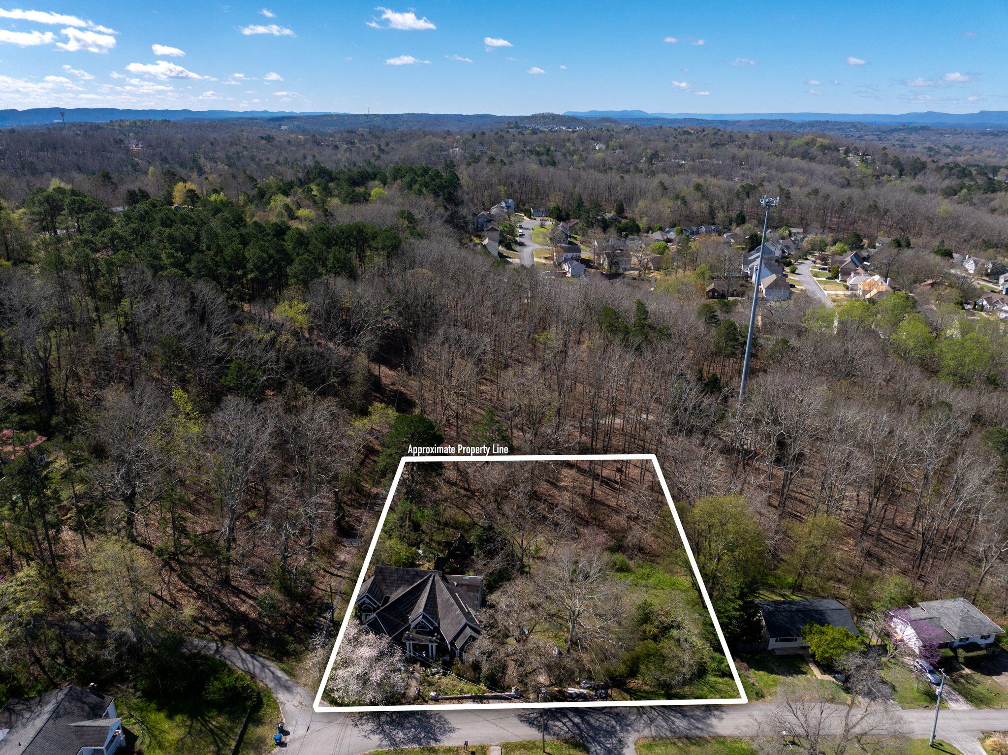 1303 Springview Drive