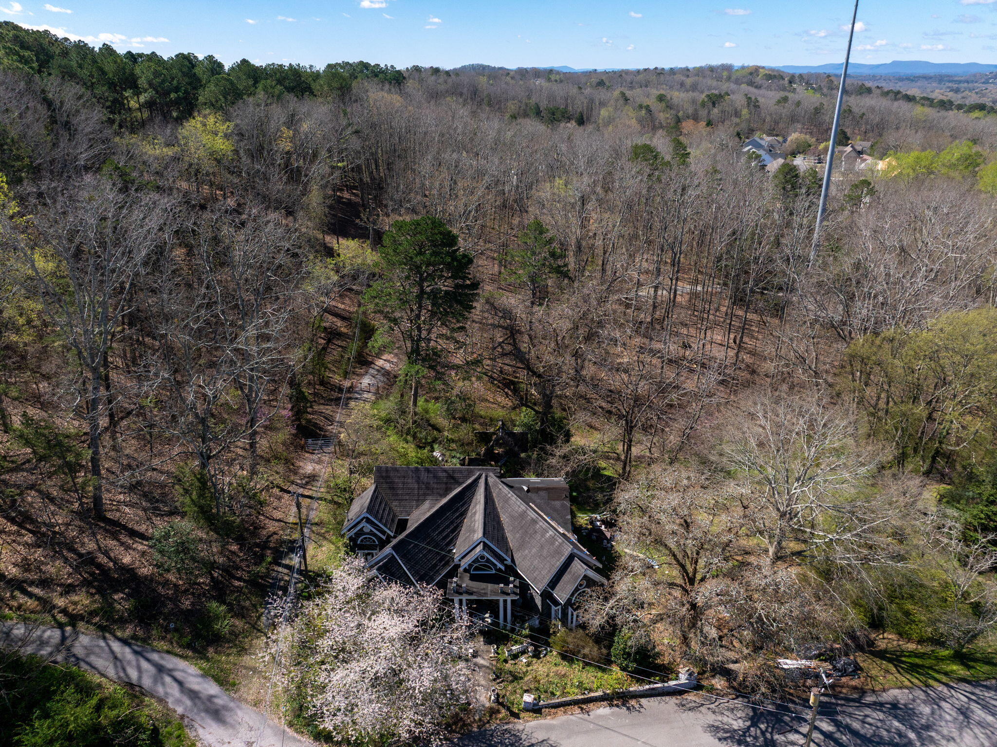 1303 Springview Drive