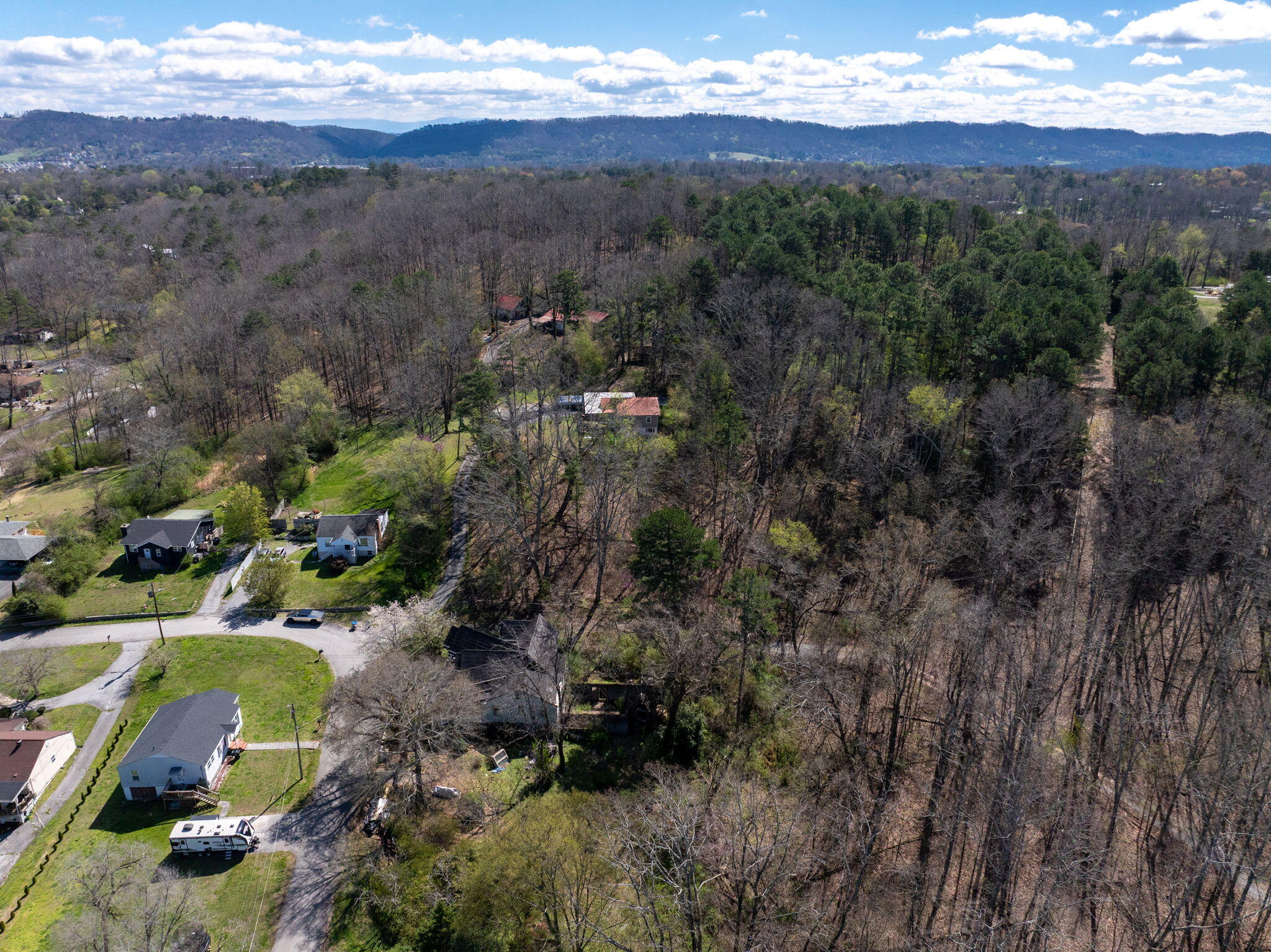1303 Springview Drive