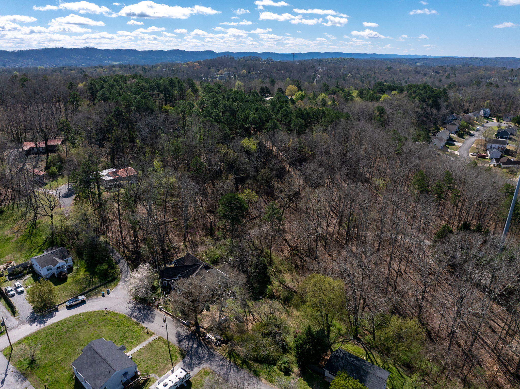 1303 Springview Drive