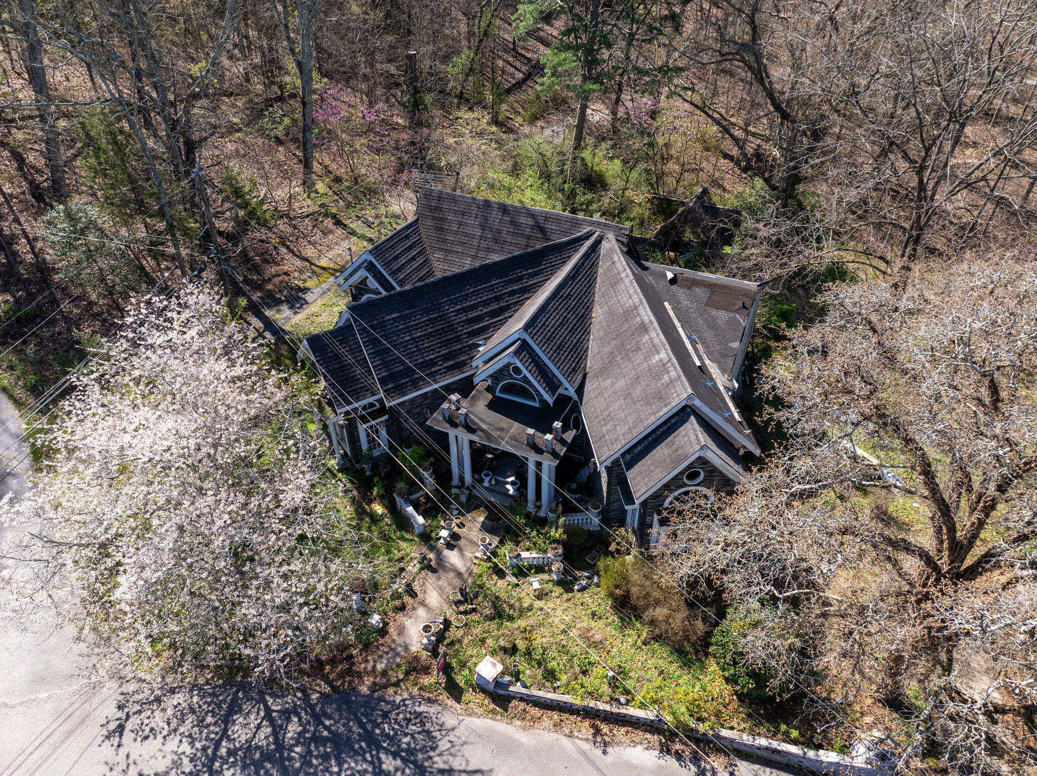 1303 Springview Drive