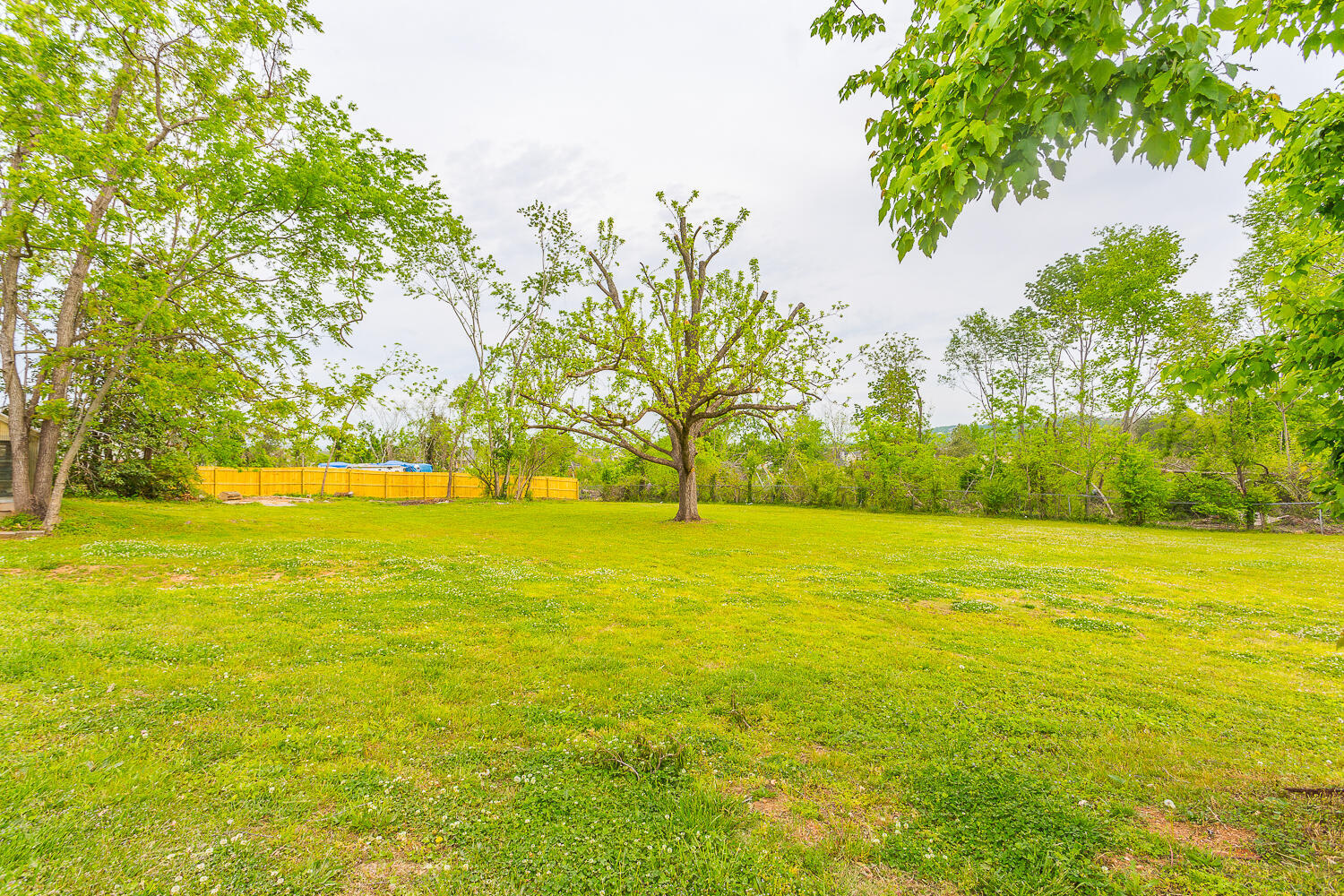 8011 Shallowford Road
