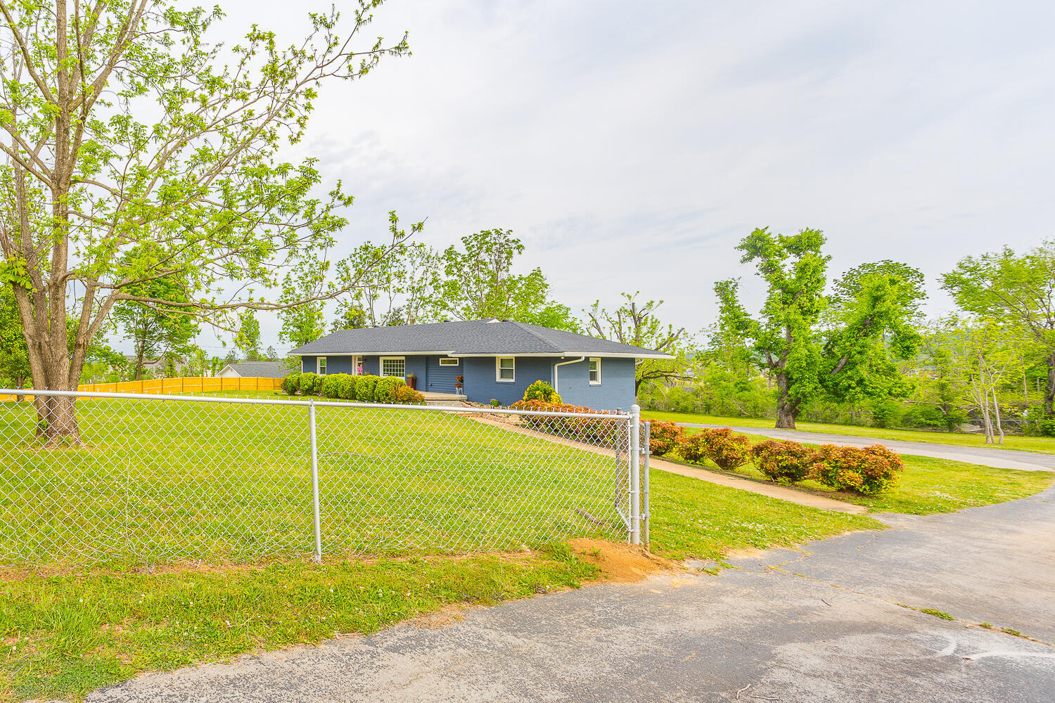 8011 Shallowford Road