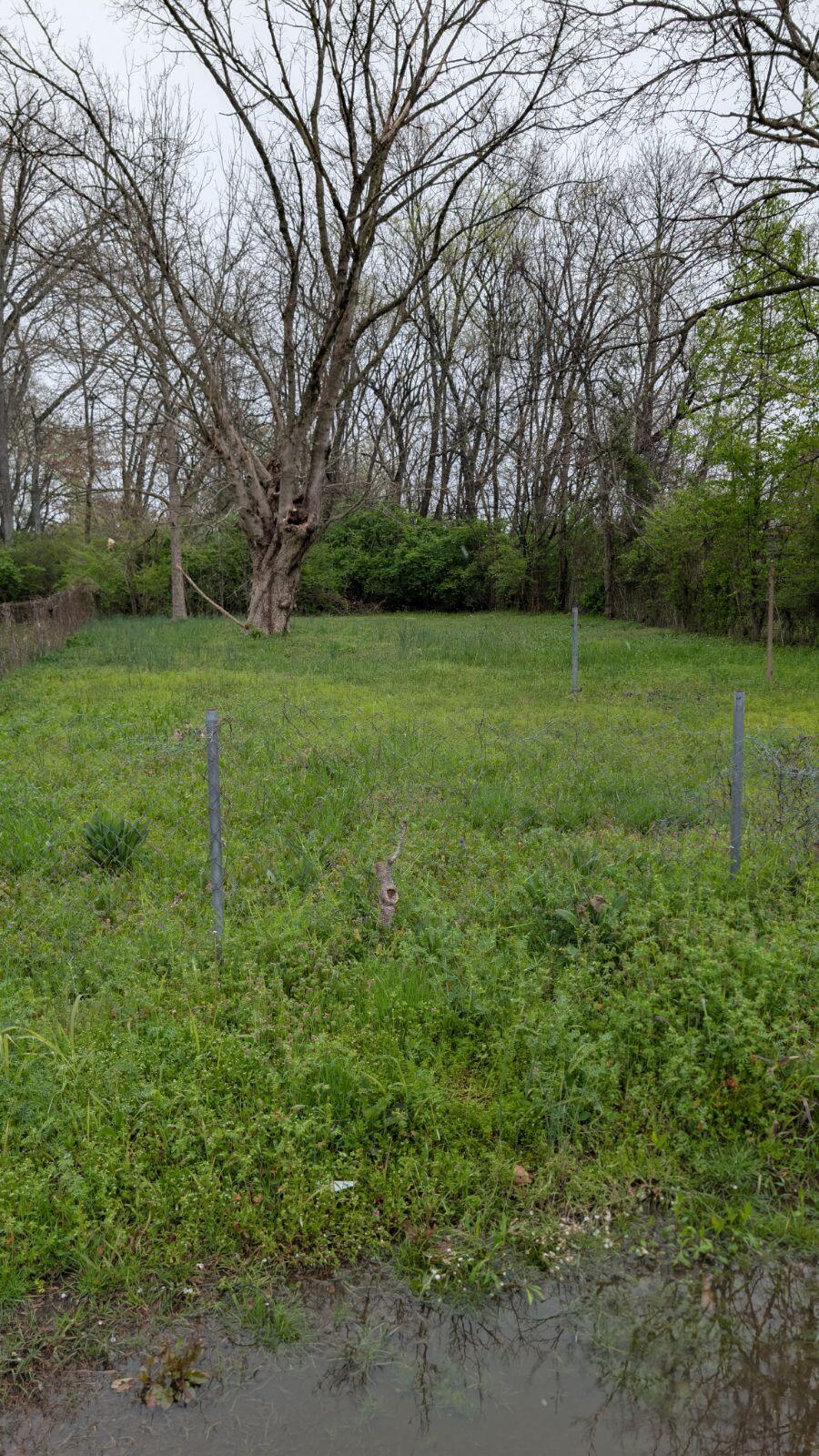 Lot 10 E 46th St. Walthall Street
