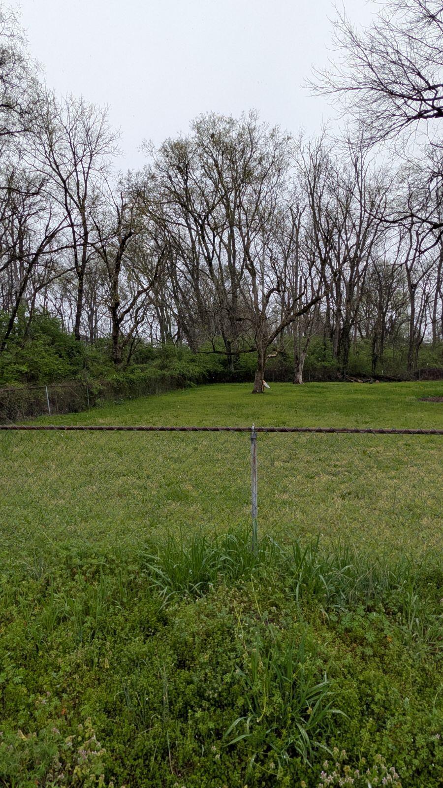 Lot 9 E 46th St. Walthall Street