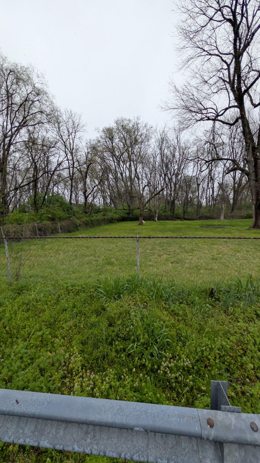 Lot 9 E 46th St. Walthall Street