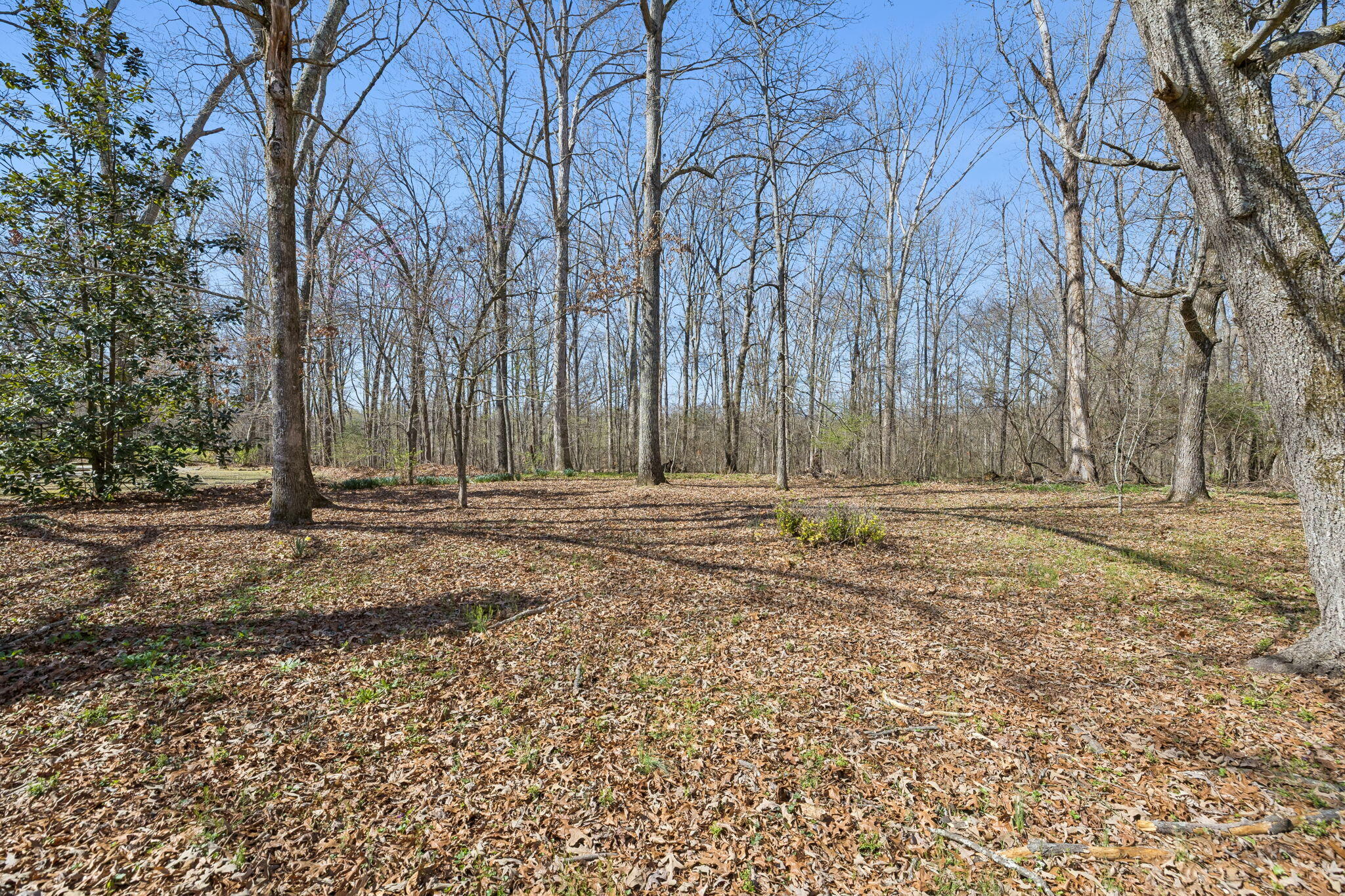 766 Bowling Alley Road