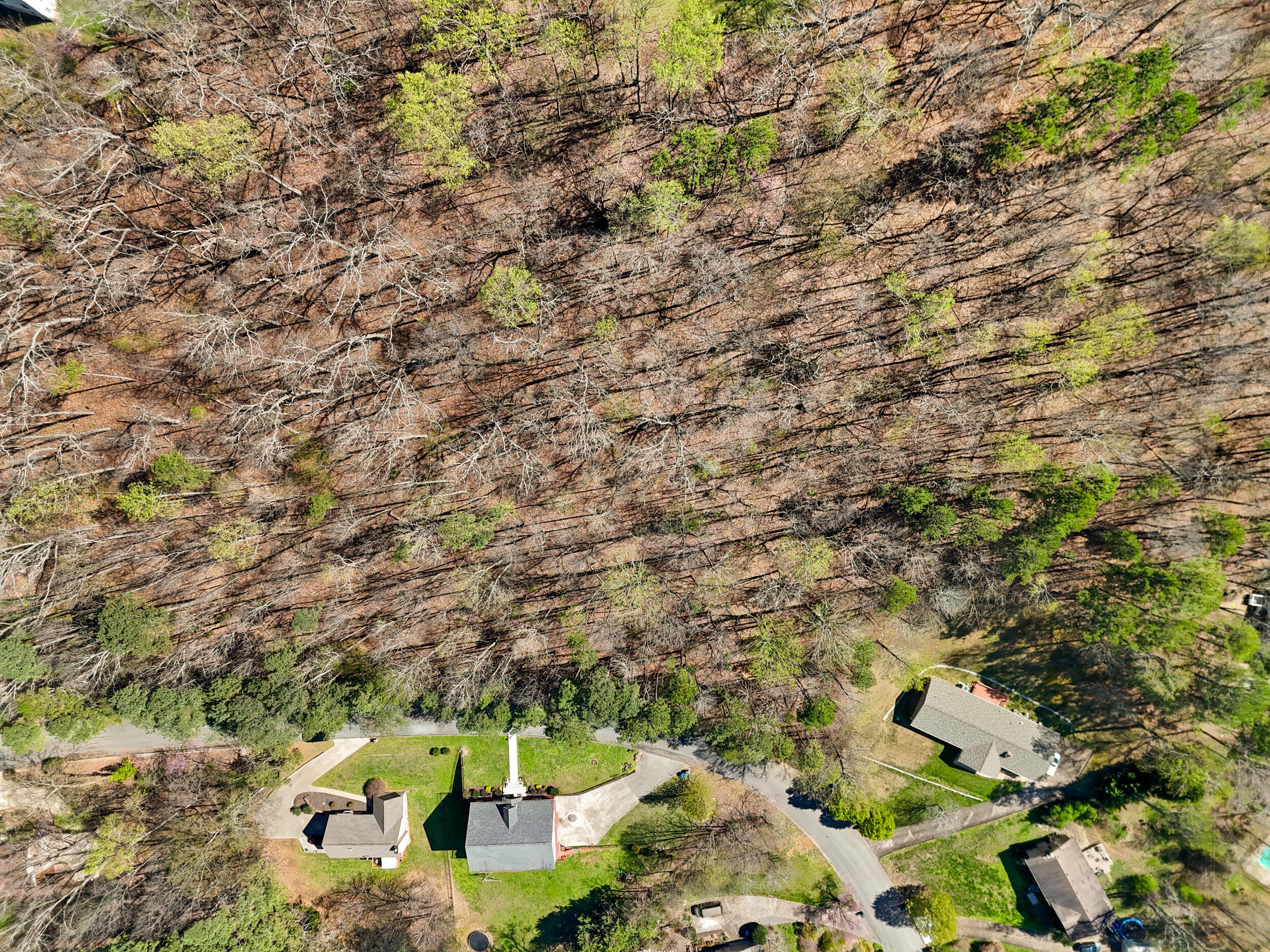 1718 Spring View Lane