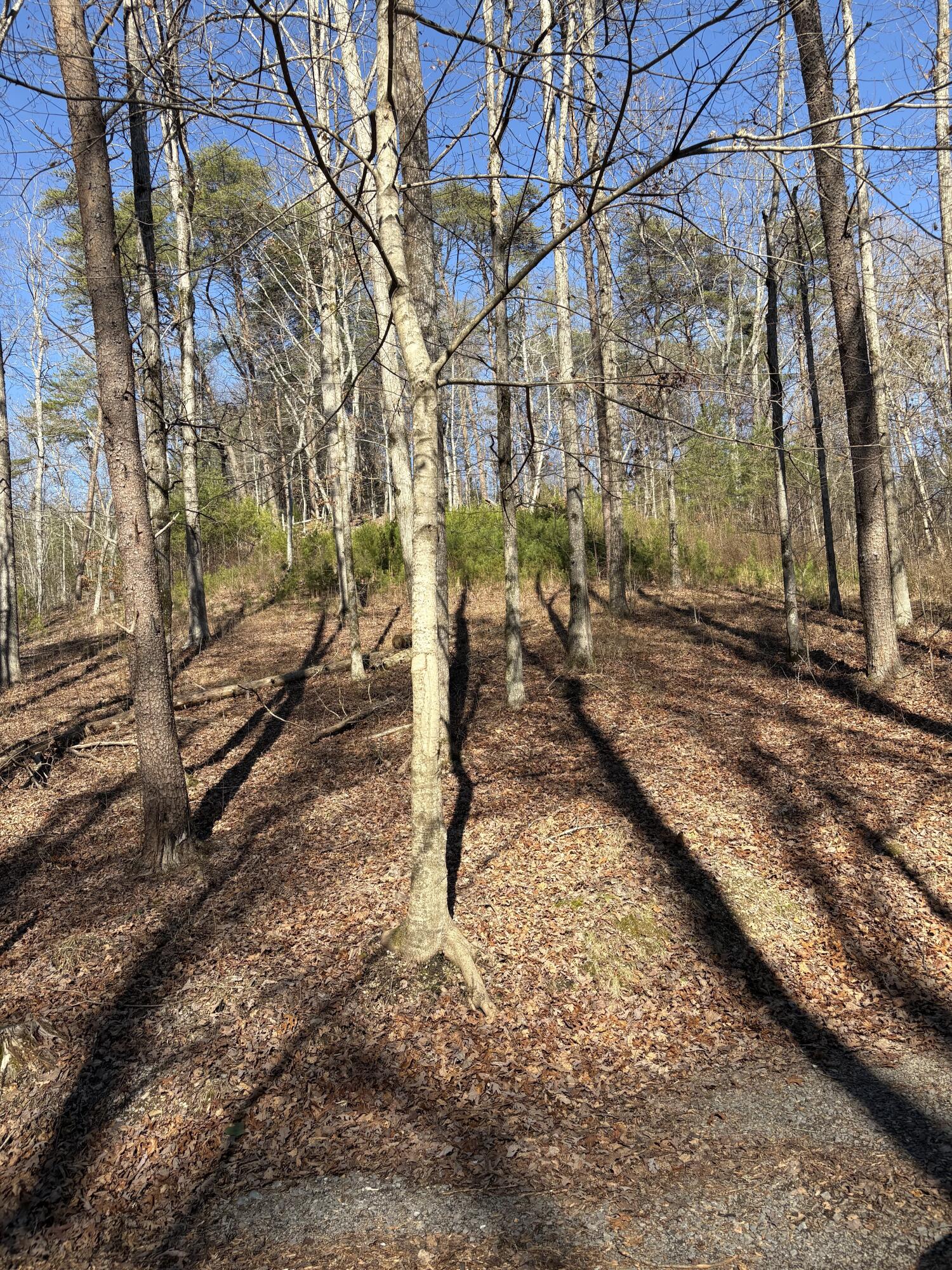 0 Fire Tower Road