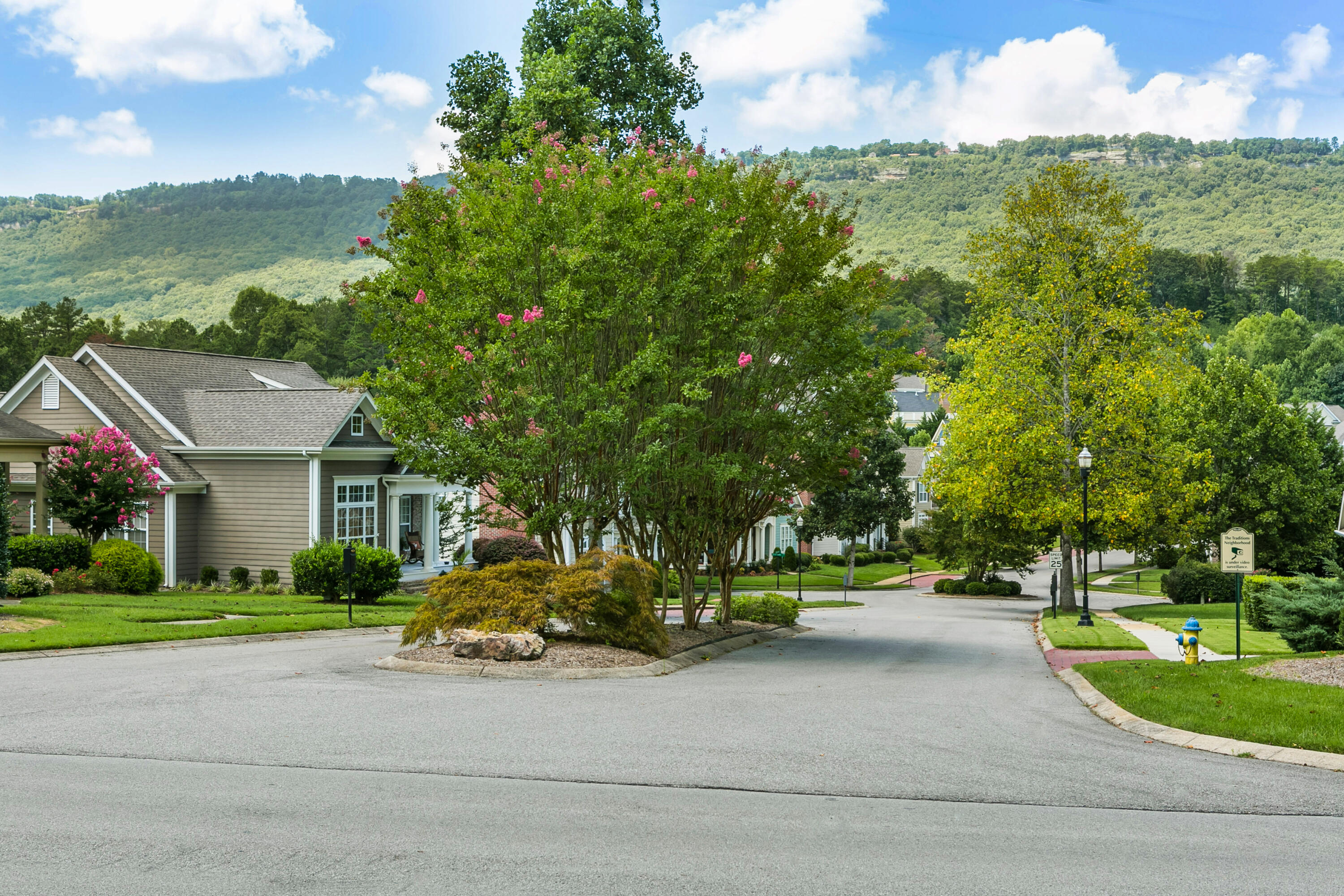 924 Traditions Drive