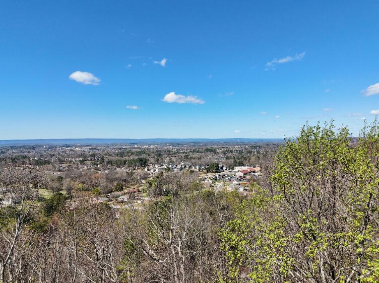 1720 Spring View Lane