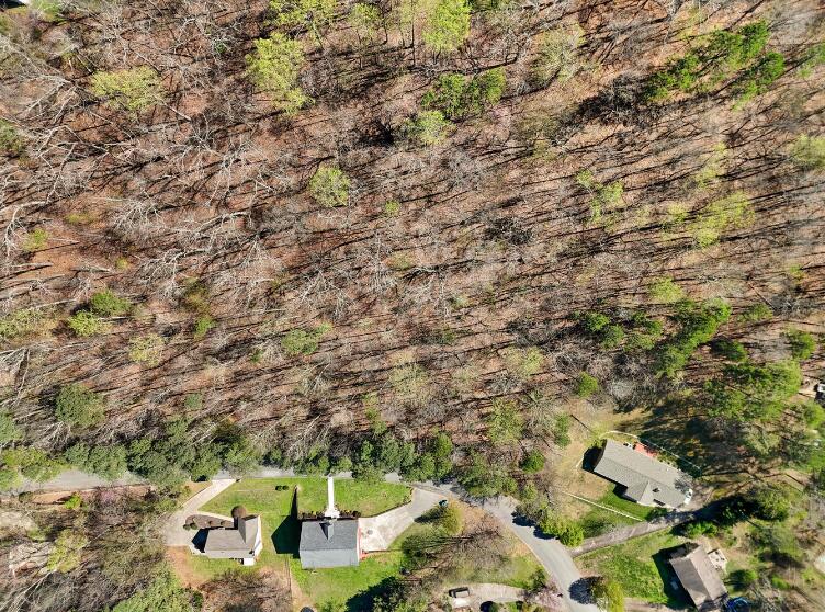 1720 Spring View Lane