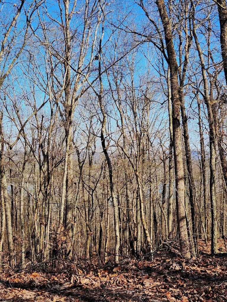 0 Scenic Drive, 6