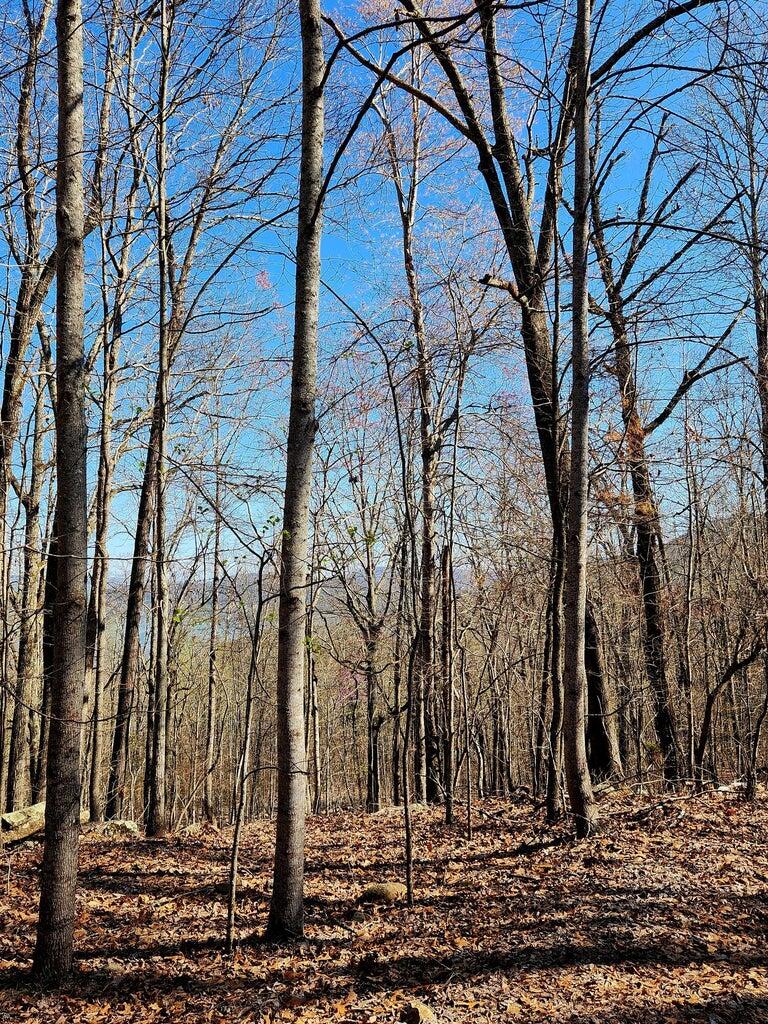 0 Scenic Drive, 6
