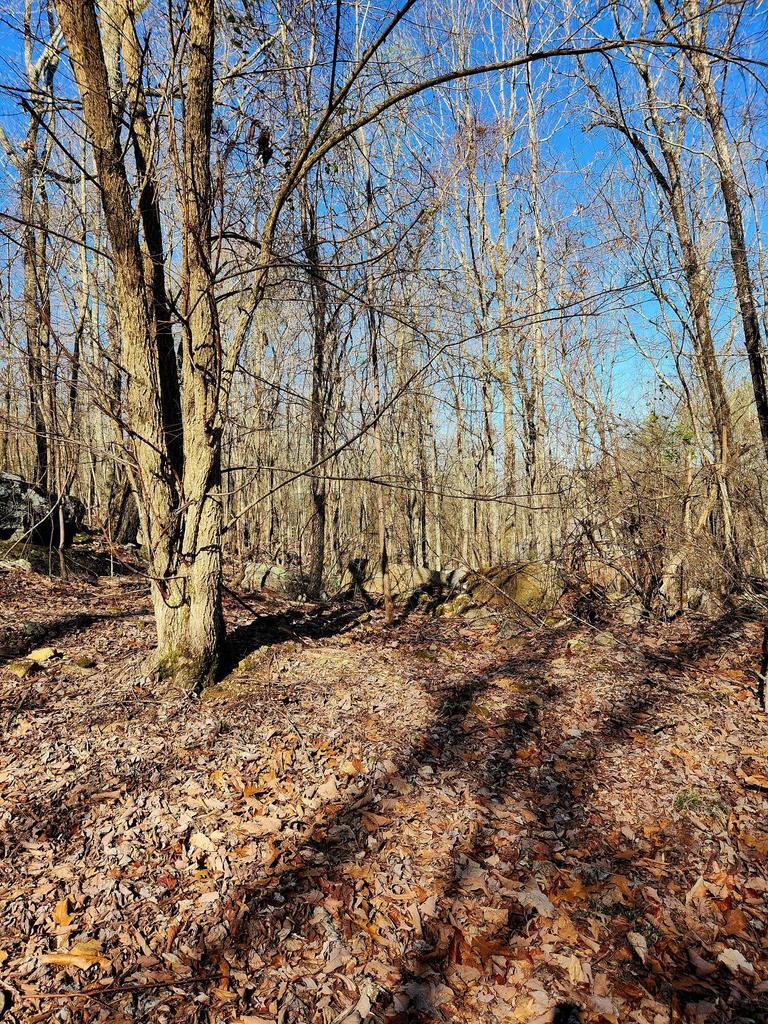 0 Scenic Drive, 6