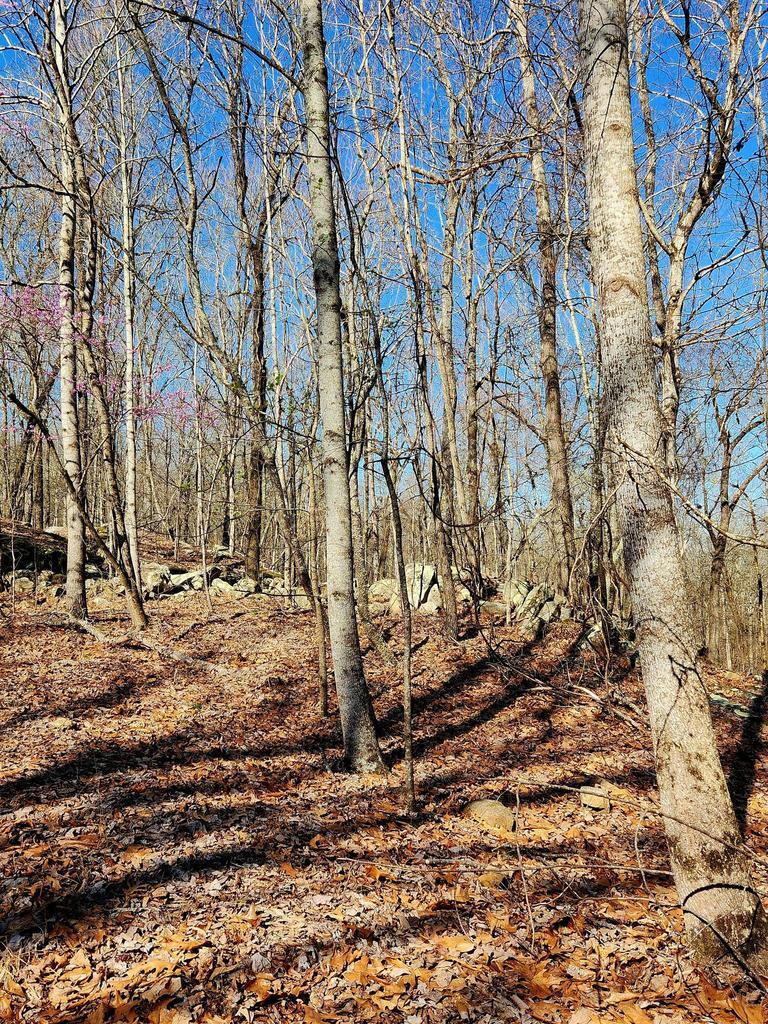 0 Scenic Drive, 6