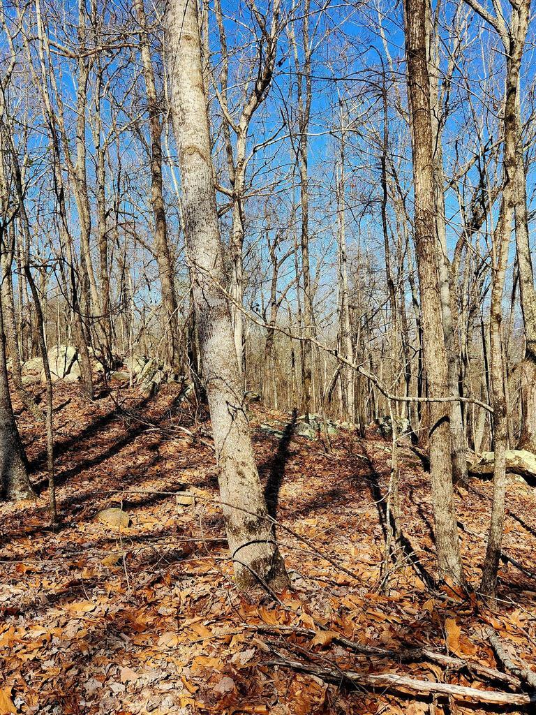 0 Scenic Drive, 6
