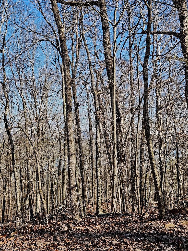 0 Scenic Drive, 6