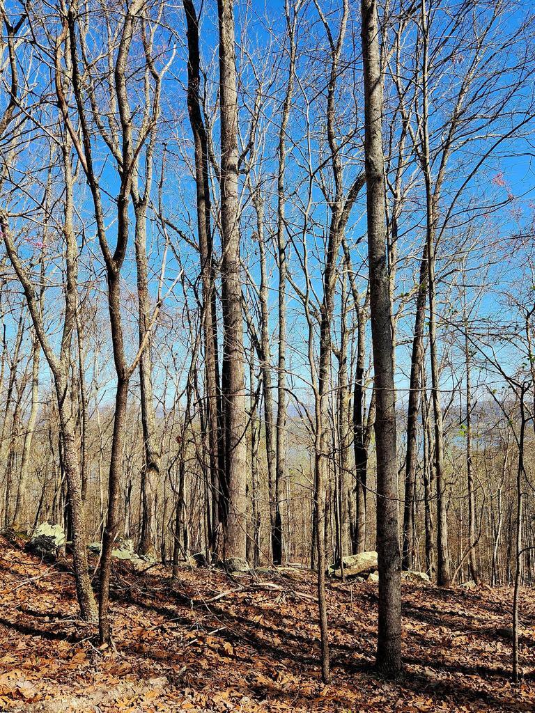 0 Scenic Drive, 6