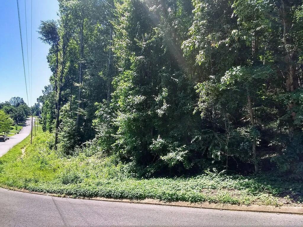 223 Hickory Ridge Trail