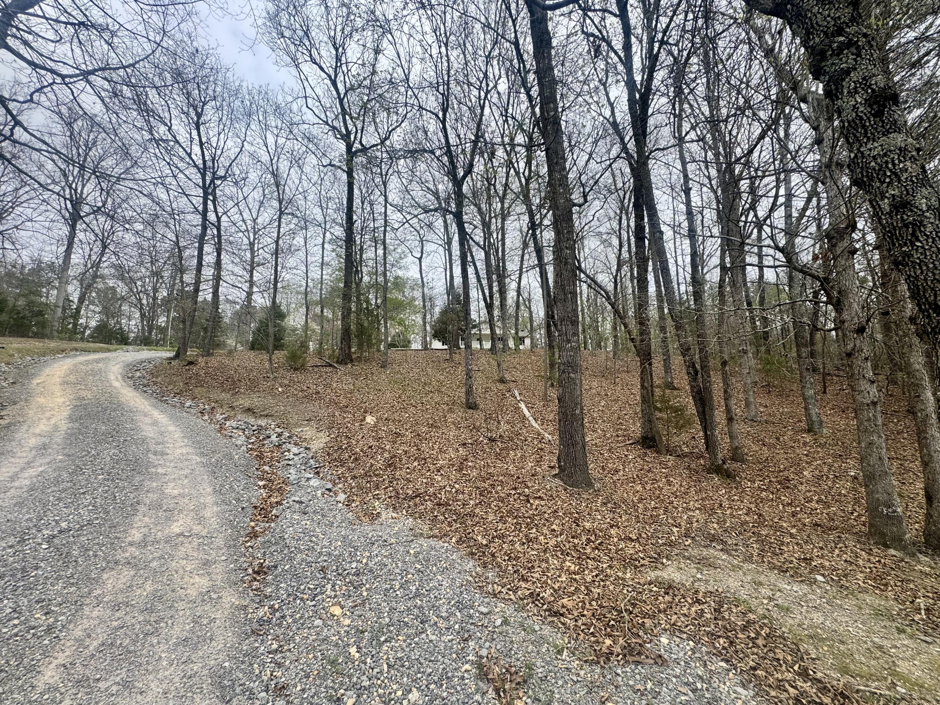 1801 Colbert Hollow Road