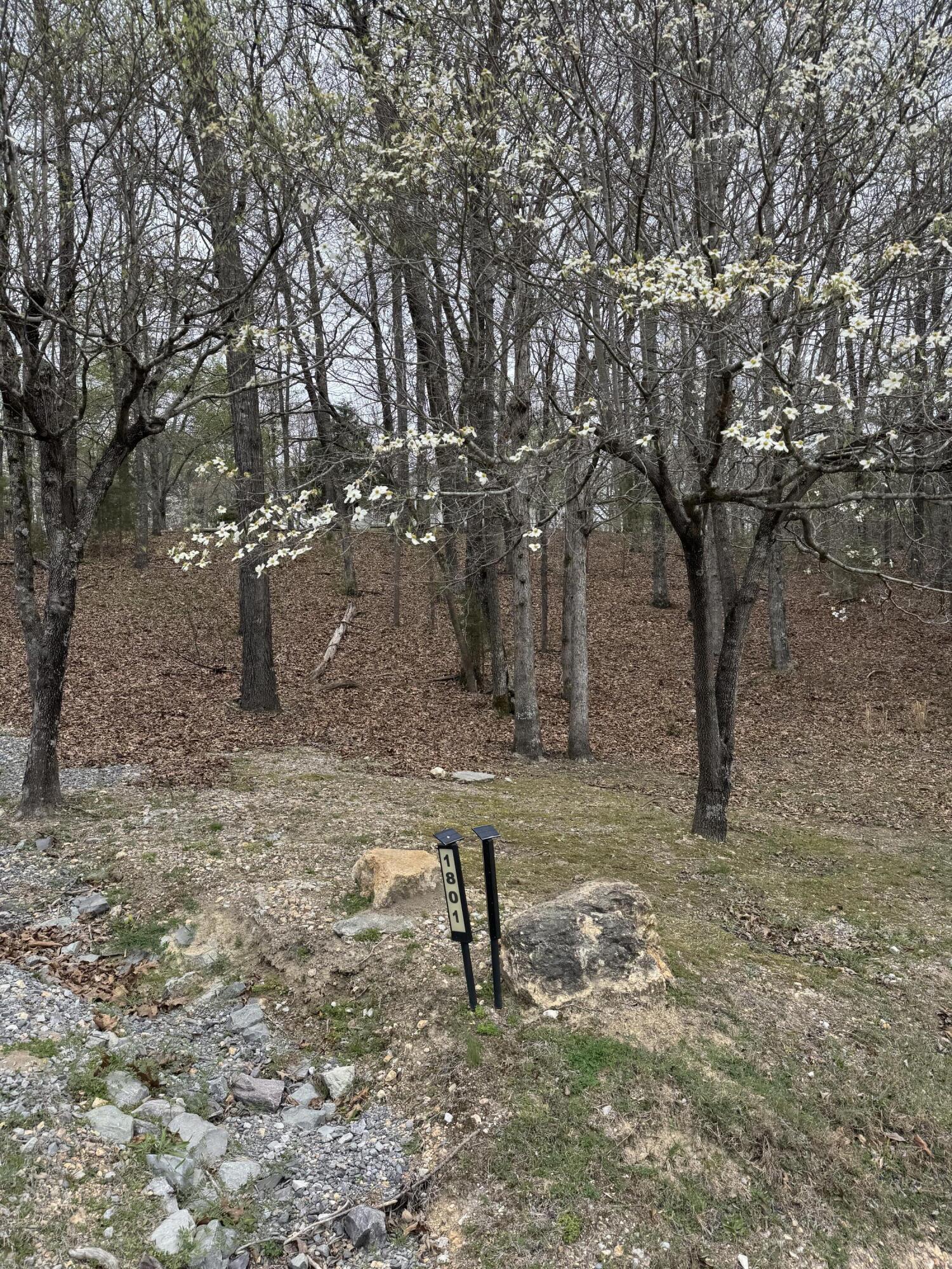 1801 Colbert Hollow Road