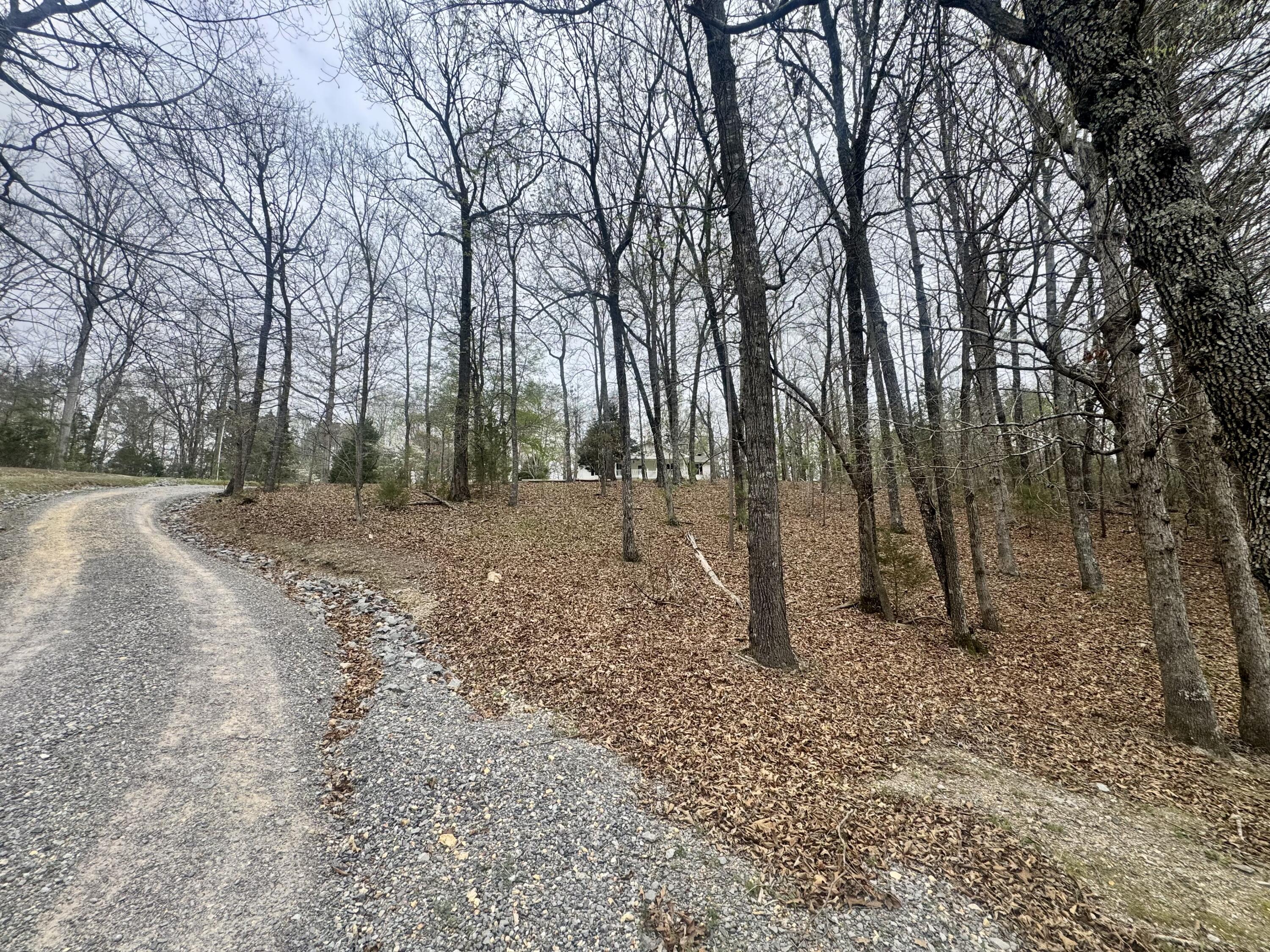1801 Colbert Hollow Road