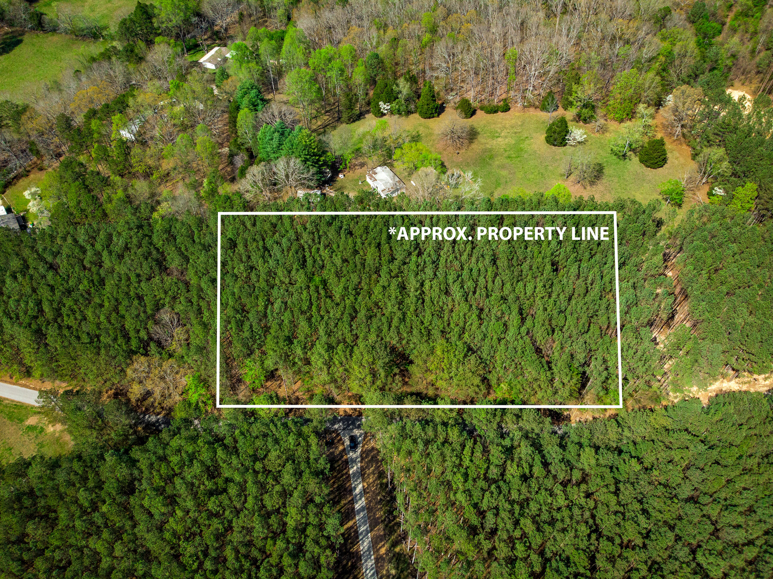 1637 Billingsley Road