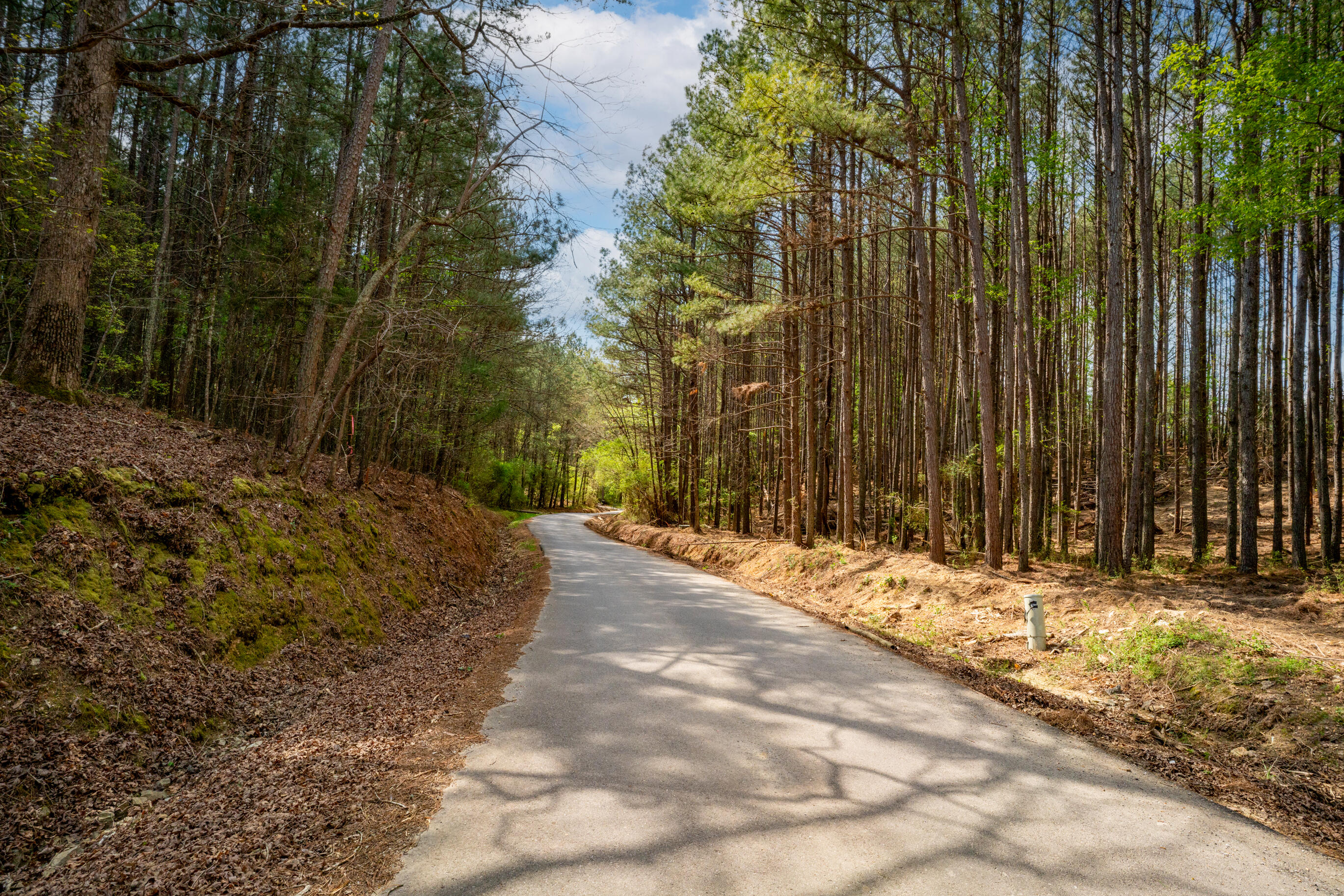 1637 Billingsley Road