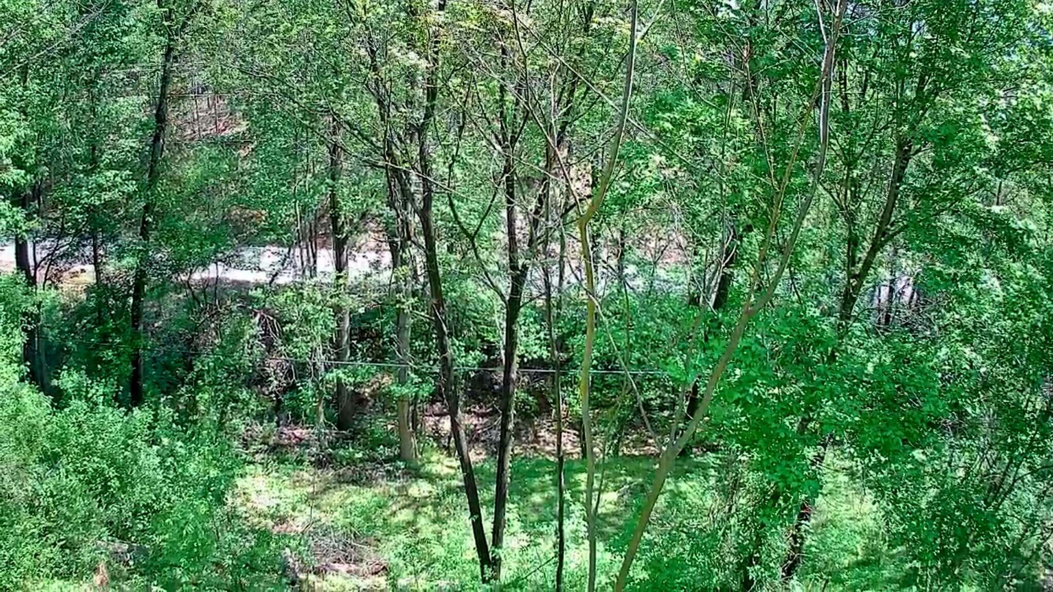 3734 Highway 41 Trail