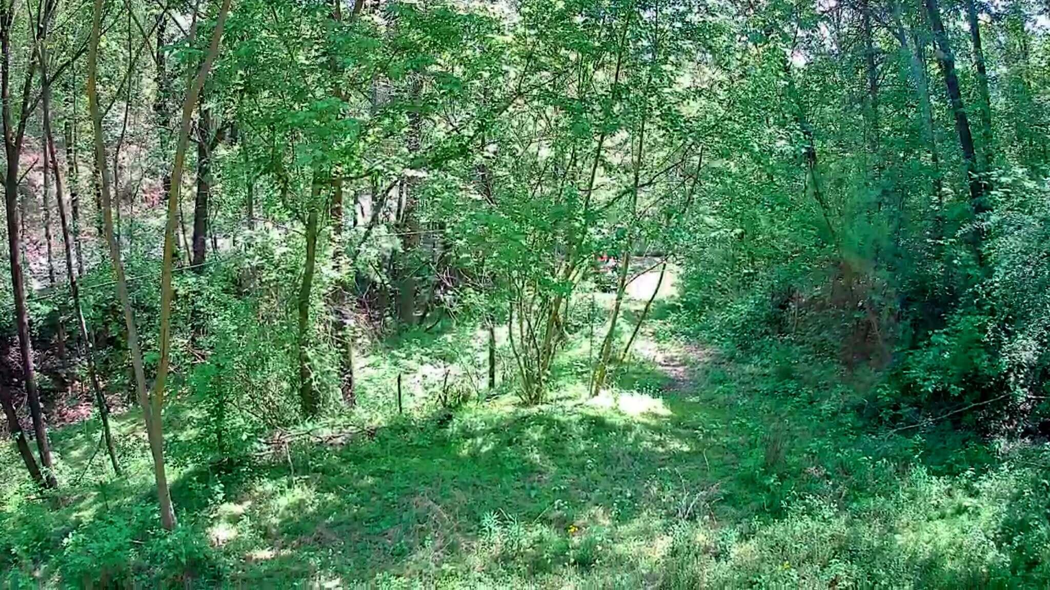 3734 Highway 41 Trail