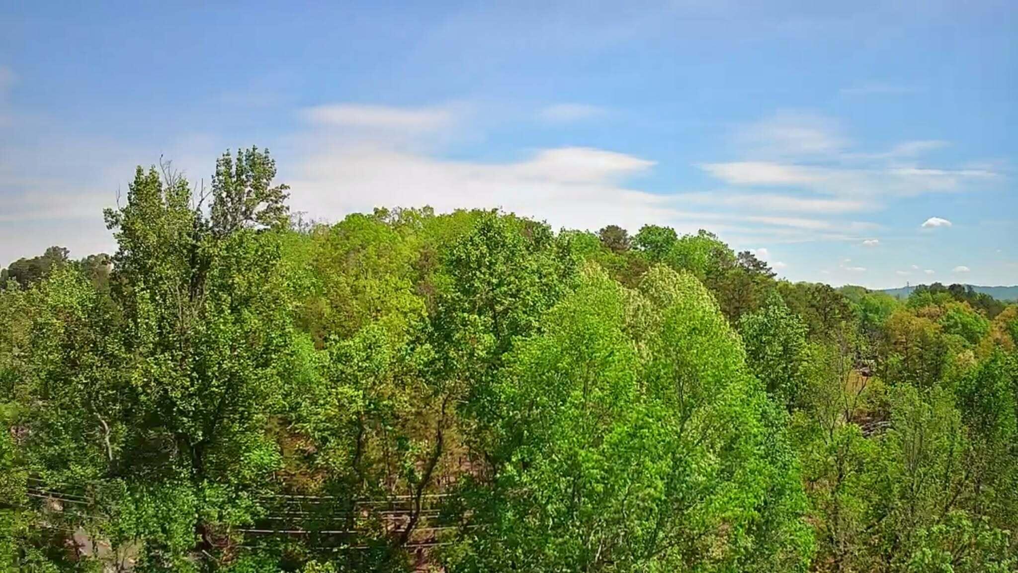 3734 Highway 41 Trail