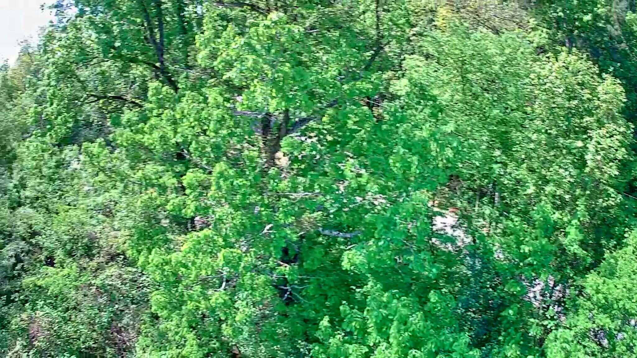 3734 Highway 41 Trail