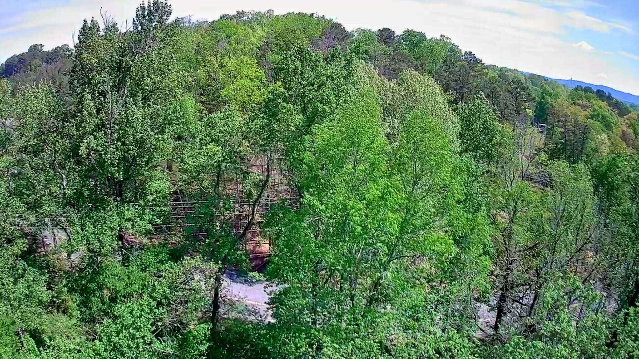 3734 Highway 41 Trail