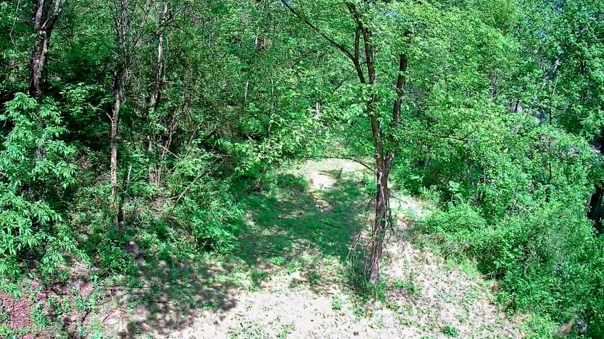 3734 Highway 41 Trail