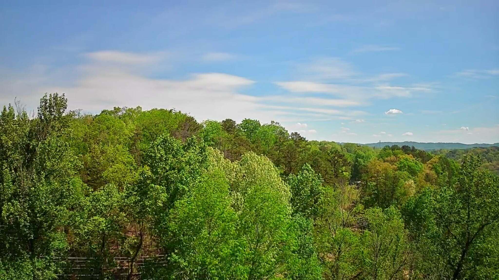 3734 Highway 41 Trail