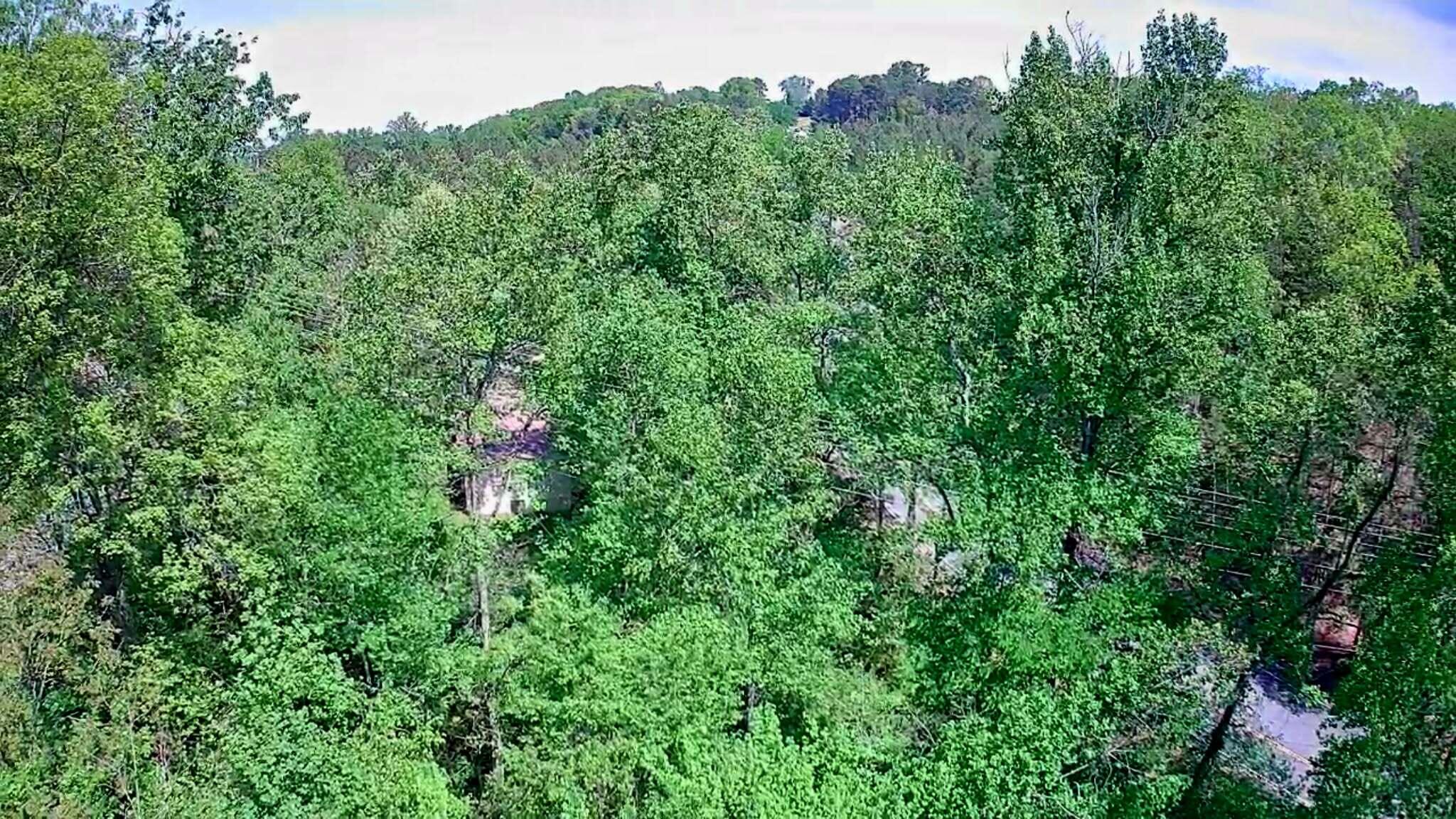 3734 Highway 41 Trail