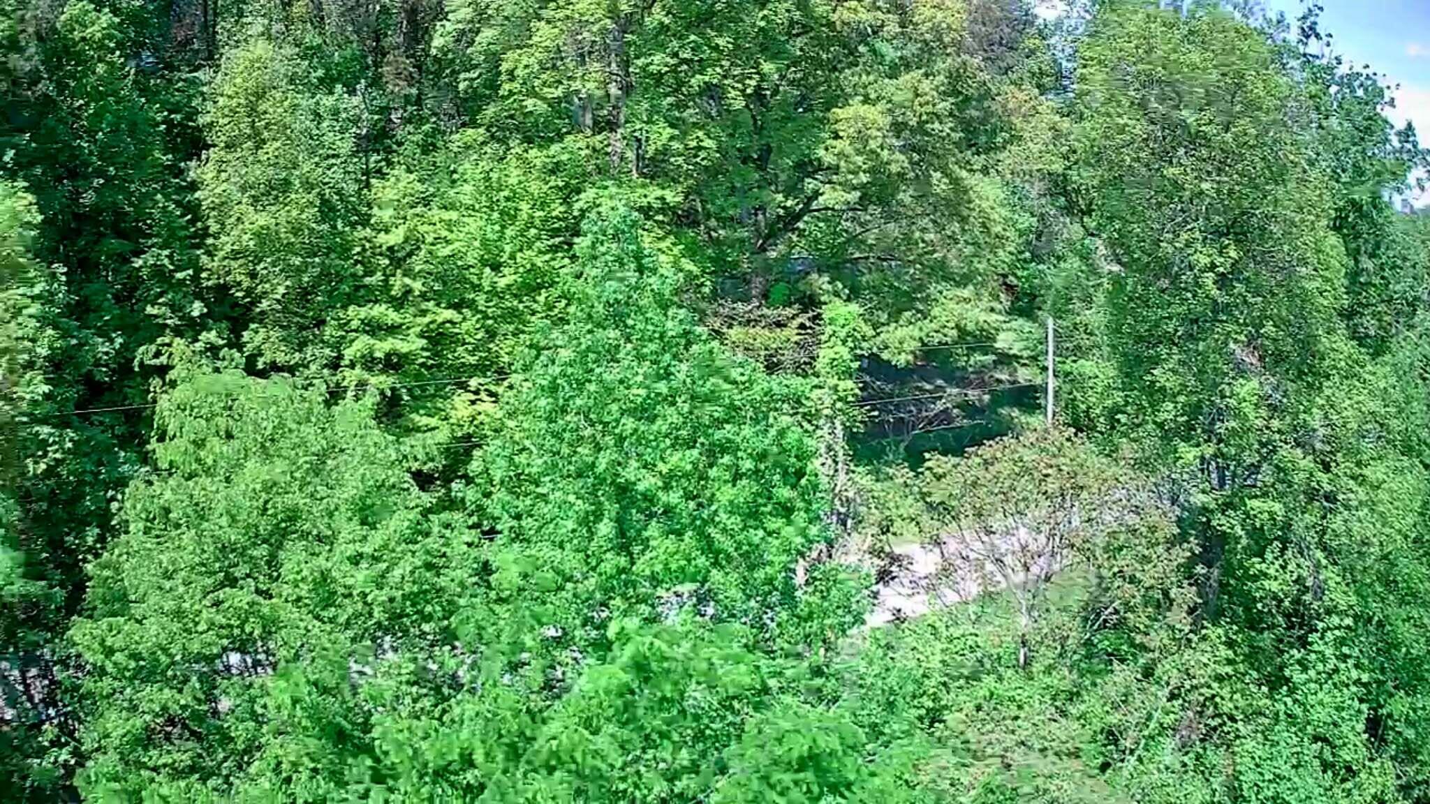 3734 Highway 41 Trail