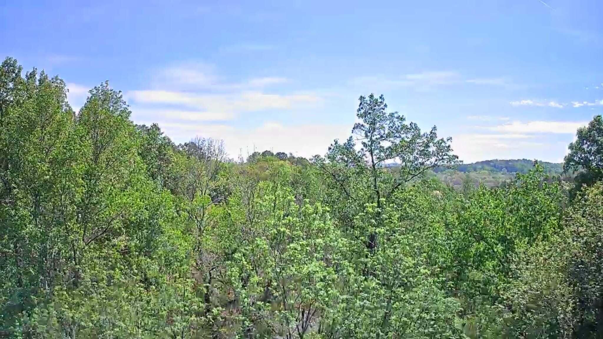 3734 Highway 41 Trail