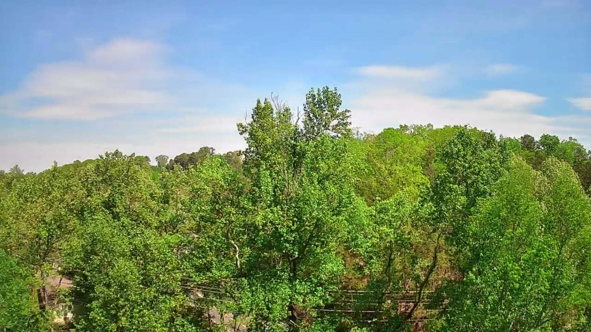 3734 Highway 41 Trail
