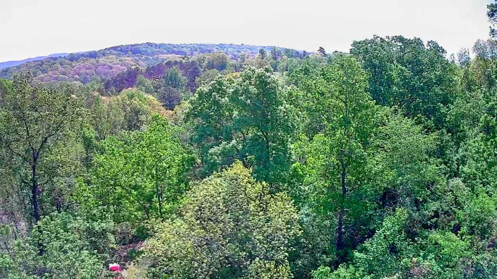 3734 Highway 41 Trail