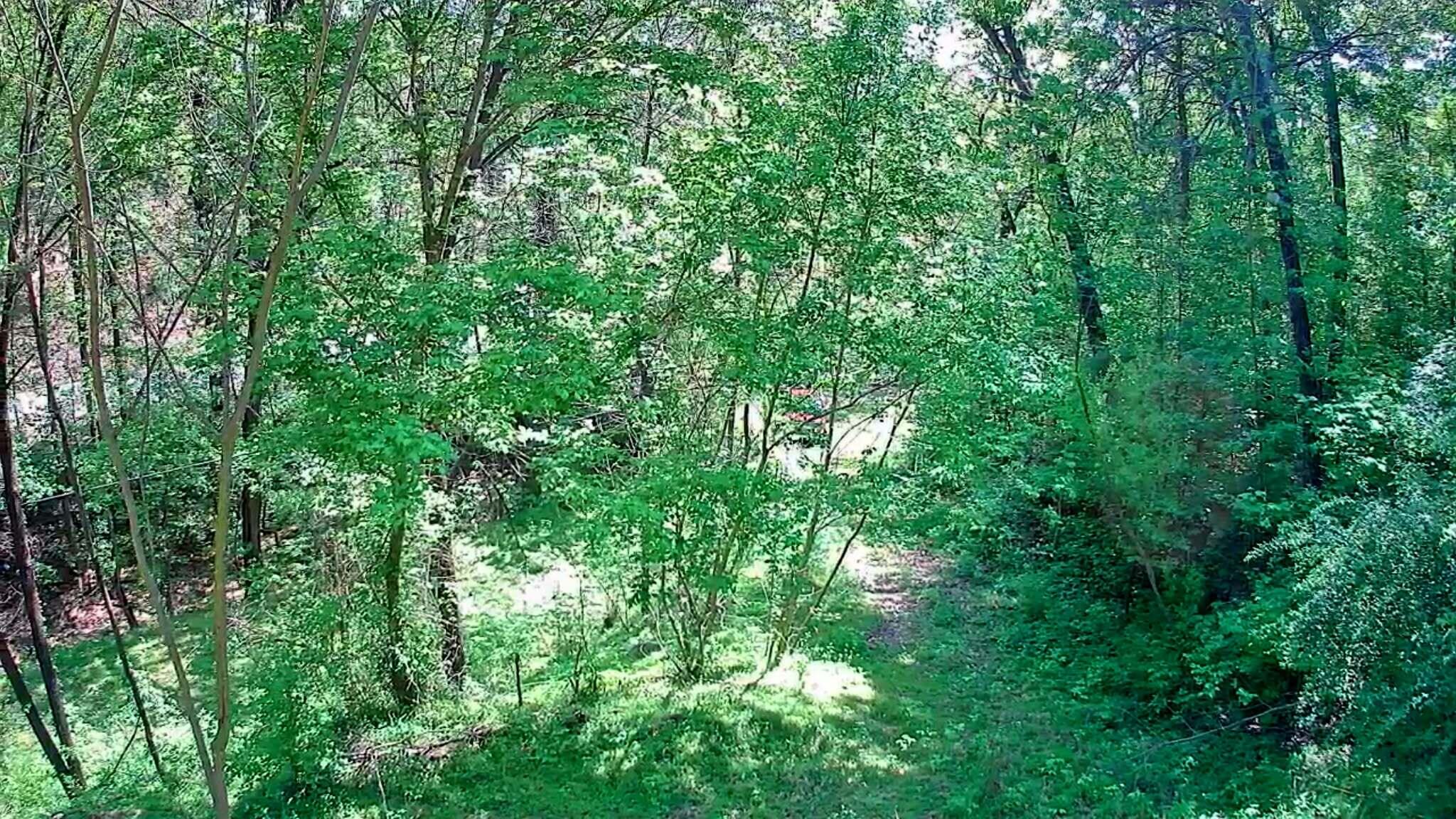 3734 Highway 41 Trail