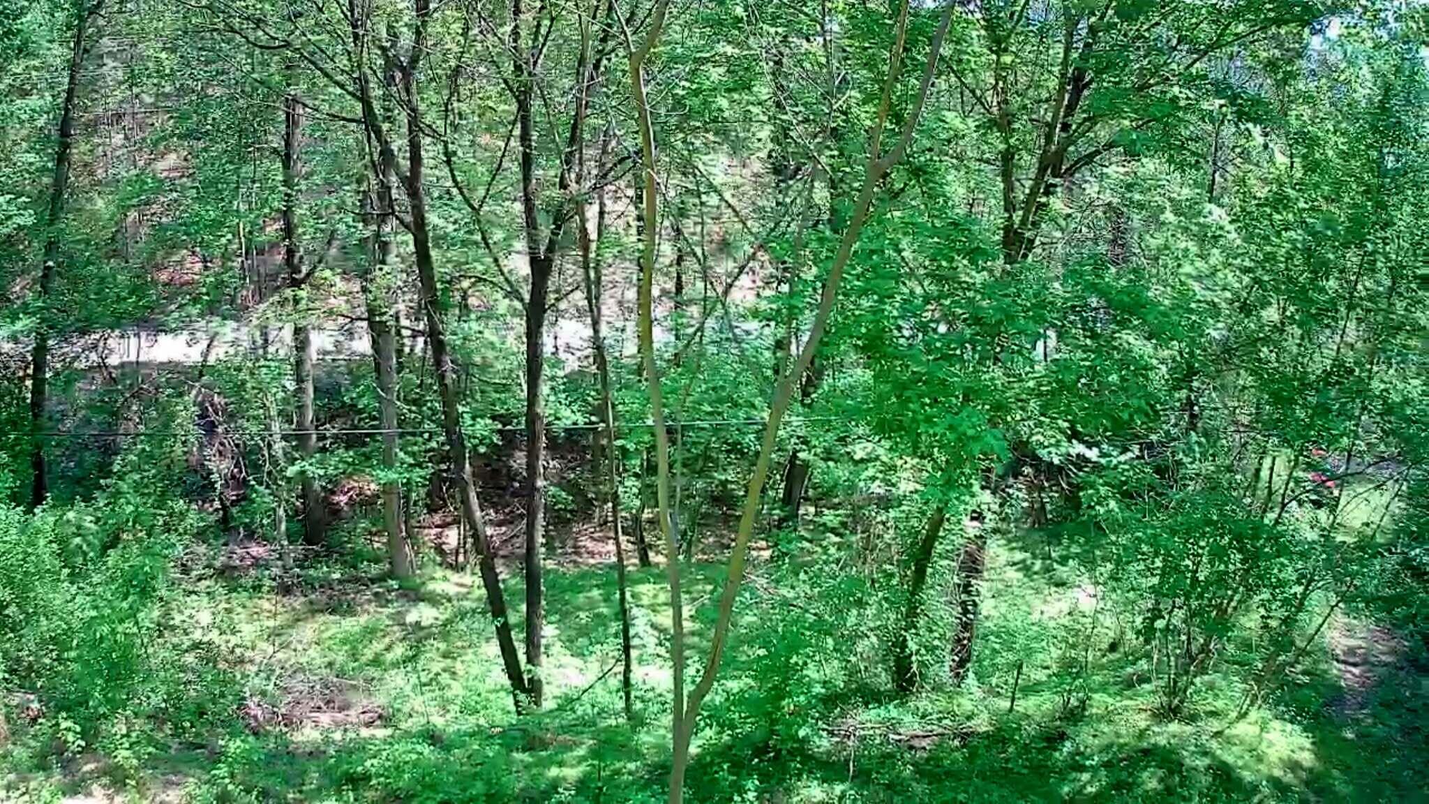 3734 Highway 41 Trail