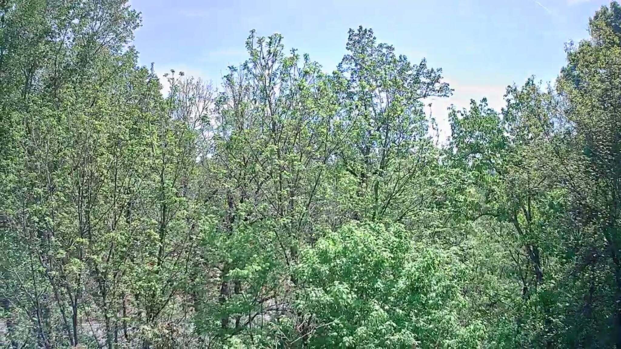 3734 Highway 41 Trail