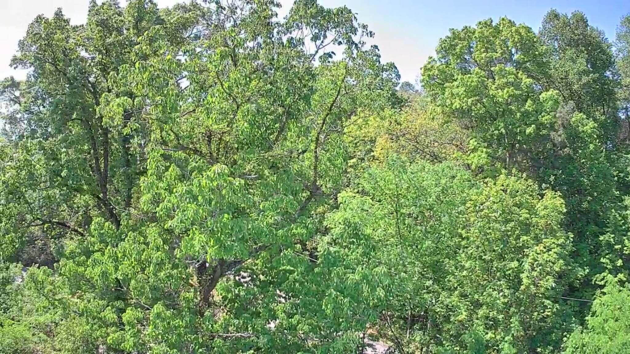 3734 Highway 41 Trail